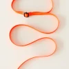 SKFK CEINTURE ABITTIKI- Ceintures